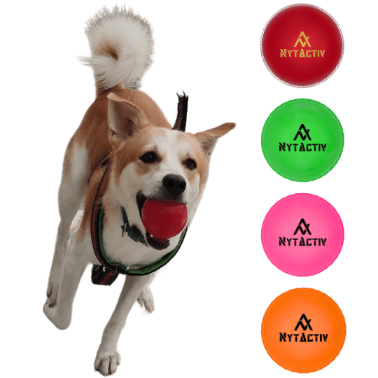 NYTACTIV PET BALL PERFECT GIFT FOR YOUR DOG